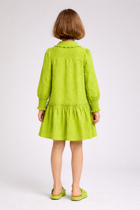 Pure Cotton Lime Green Shirt Collared Floral Embroidery Dress for Girls